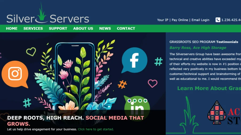 Silver Servers