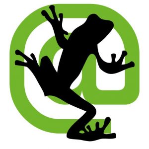 The Screaming Frog SEO Spider Tool outline